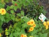 Bild 17