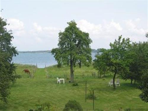 Ferieleilighet - 6 personer -  - Seeufer - 17207 - Ludorf / Zielow