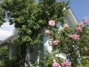 Image 3 - Outside