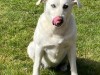 Bild 29