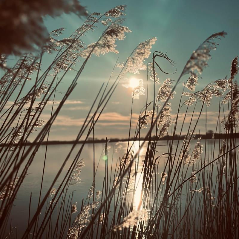 Sommerhus - 2 personer -  - Möwensteert - 26624 - Südbrookmerland