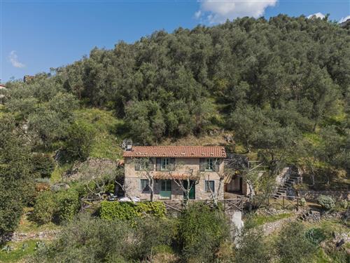 Sommerhus - 5 personer -  - Camaiore - 55041