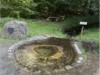 Image 24