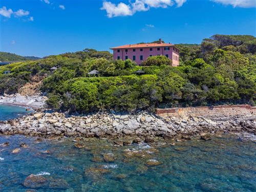 Ferielejlighed - 4 personer -  - Castiglioncello - 57016