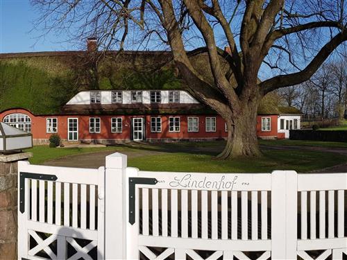 Ferielejlighed - 2 personer -  - Böver Weg - 24975 - Maasbüll