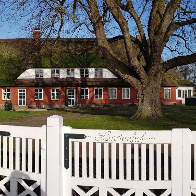 Ferielejlighed - 2 personer -  - Böver Weg - 24975 - Maasbüll