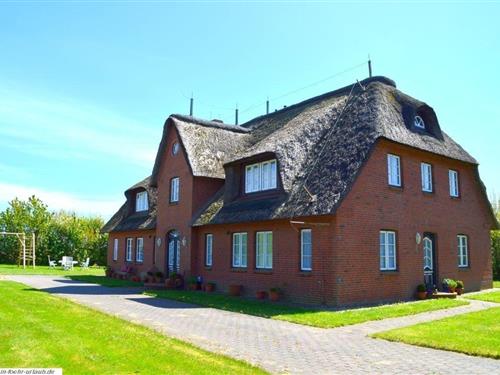 Ferienhaus - 4 Personen -  - Groß Dunsum - 25938 - Dunsum