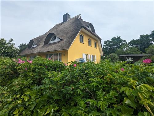 Sommerhus - 4 personer -  - In de Stücken - 18375 - Born