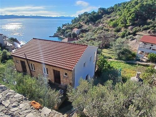 Holiday apartment - 3 persons -  - Gdinj 312, Uvala Torac - 21467 - Gdinj-Virak