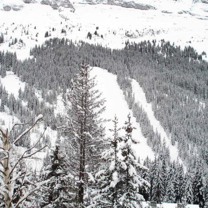 Ferielejlighed - 6 personer -  - 74300 - Magland