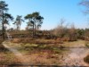 Bild 16