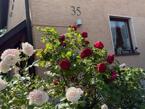  - 3 personer -  - Goethestraße - 96231 - Bad Staffelstein