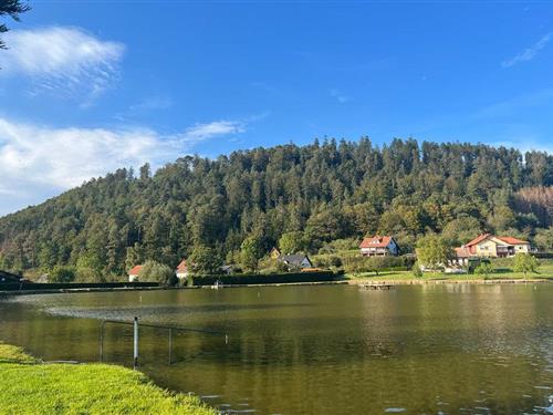 Holiday home - 8 persons -  - Rue Christopher - 57870 - Walscheid