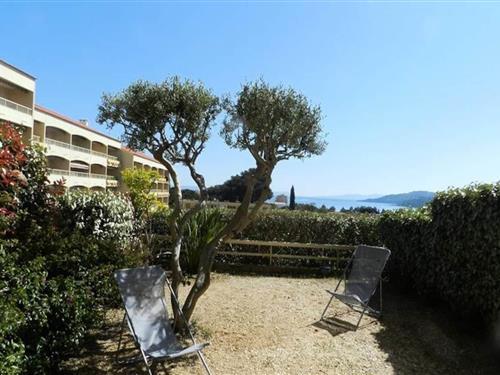 Ferienhaus - 4 Personen -  - 83230 - Bormes Les Mimosas