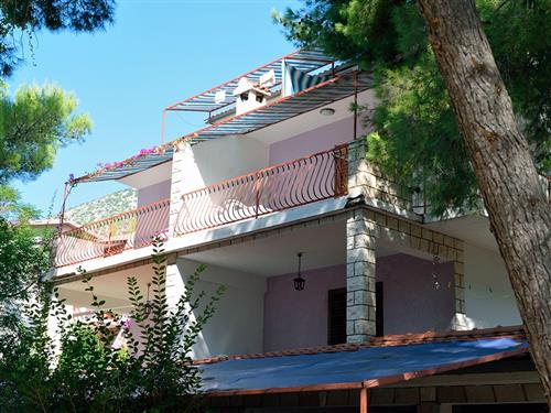 Ferieleilighet - 3 personer -  - Ivan Dolac - 21465 - Jelsa