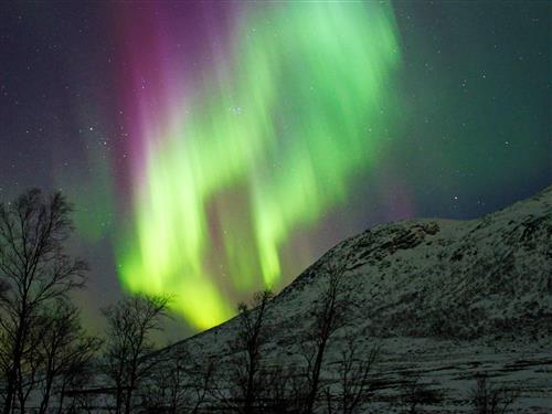  - 4 Personen -  - Deanugeaidnu - 9843 - Tana