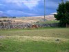 Bild 22