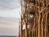 Billede 14