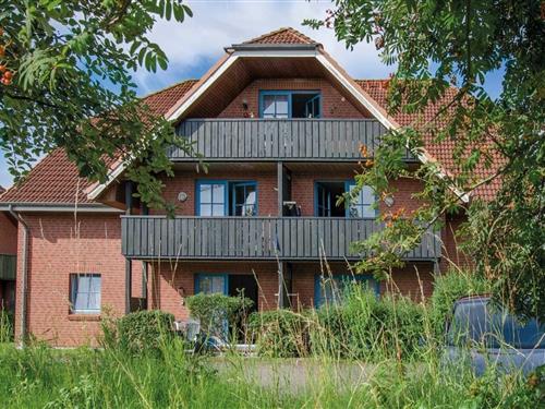 Ferielejlighed - 4 personer -  - An der Aue - 23747 - Dahme
