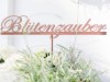 Billede 1
