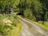 Image 29 - Outside
