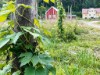 Bild 19 - Ude