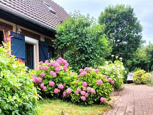 Sommerhus - 10 personer -  - 62520 - Le Touquet-Paris-Plage