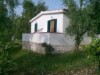 Bild 24
