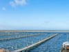 Bild 31 - Blick über's Wasser