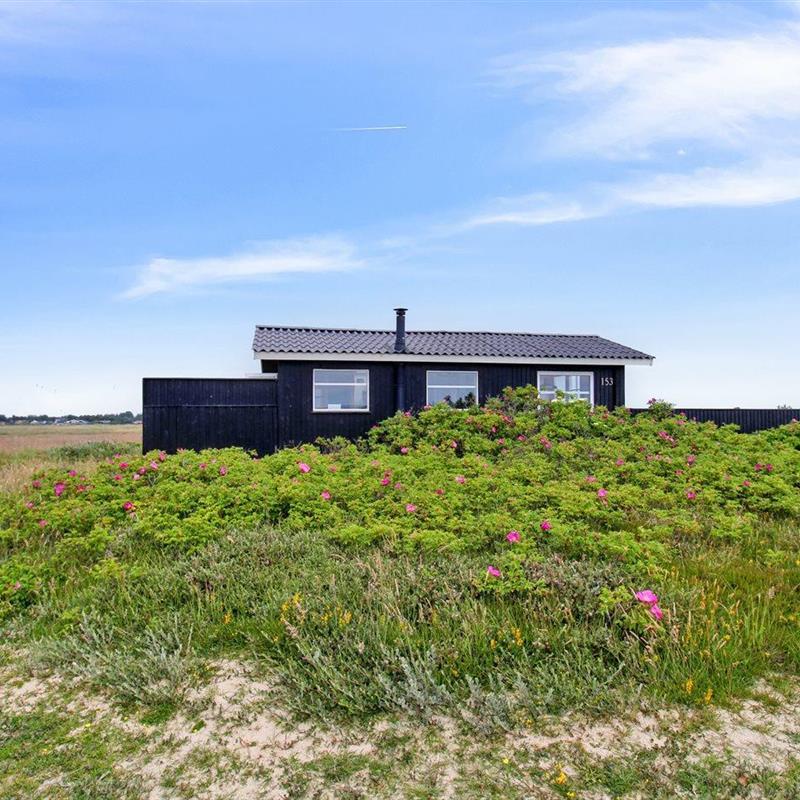 Ferienhaus - 2 Personen -  - Hvidbjerg Strandvej - 6857 - Blavand