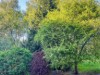 Image 17