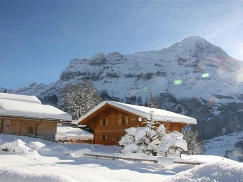 Ferienhaus - 3 Personen -  - Wagisbachstrasse - 3818 - Grindelwald