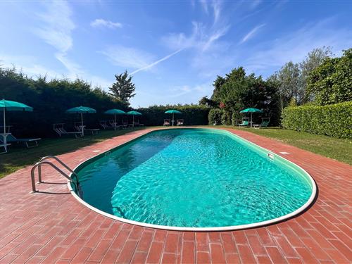 Ferielejlighed - 5 personer -  - Via Porto - 06069 - Tuoro Sul Trasimeno