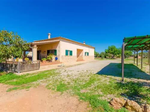 Sommerhus - 8 personer -  - 07620 - Llucmajor, Illes Balears