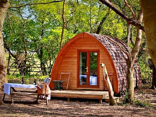 Holiday home - 4 persons -  - Bury St Edmunds - IP28 6ex