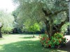 Image 37 - Outside