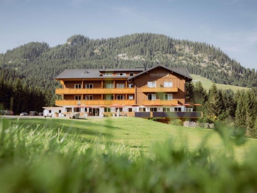 Ferienwohnung - 4 Personen -  - Außerwald - 6991 - Riezlern