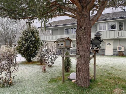 Ferieleilighet - 4 personer -  - Brennligutu - 3550 - Gol