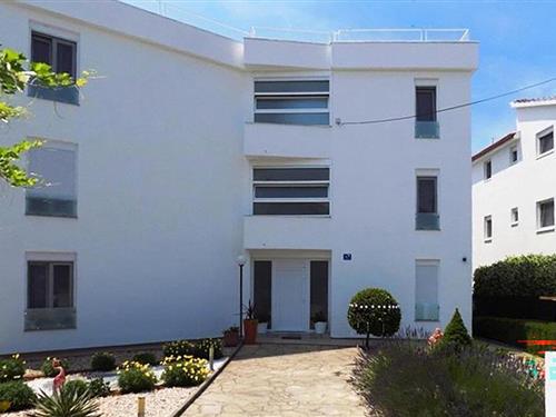 Ferieleilighet - 4 personer -  - Zagrebacka ulica - Sibenik-Pirovac - 22213 - Pirovac