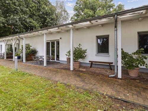 Ferielejlighed - 4 personer -  - Zabelsdorfer Straße - 16775 - Gransee