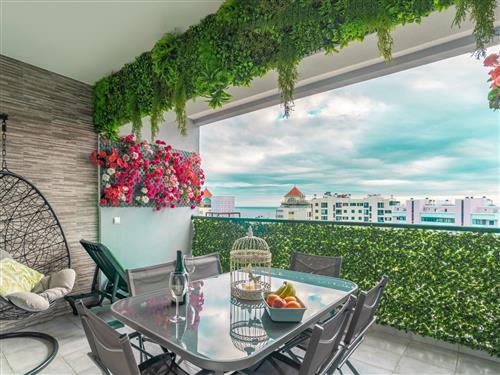 Ferielejlighed - 4 personer -  - Madeira/Funchal - 9000-116