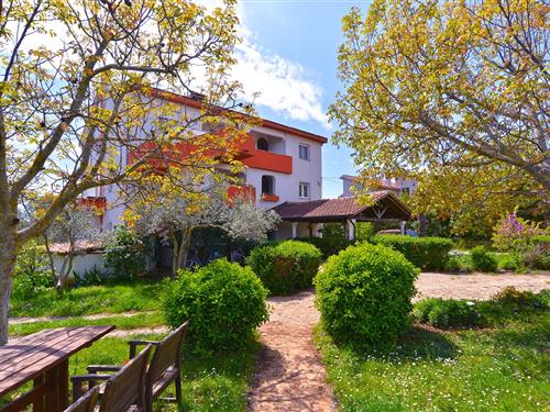 Holiday apartment - 2 persons -  - Palera - 52204 - Liznjan