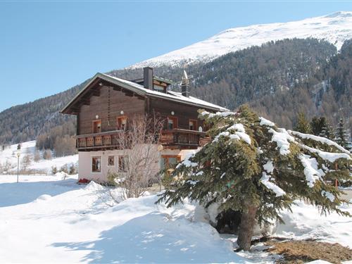 Holiday Home/Apartment - 2 persons -  - 23030 - Livigno