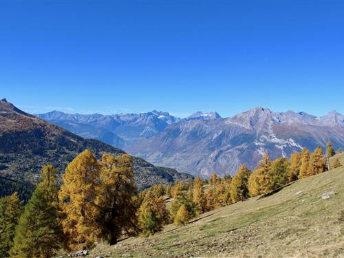 Holiday apartment - 14 persons -  - 1997 - Haute-Nendaz