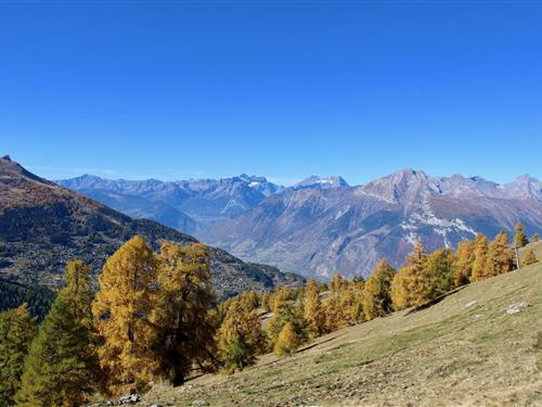 Holiday apartment - 14 persons -  - 1997 - Haute-Nendaz