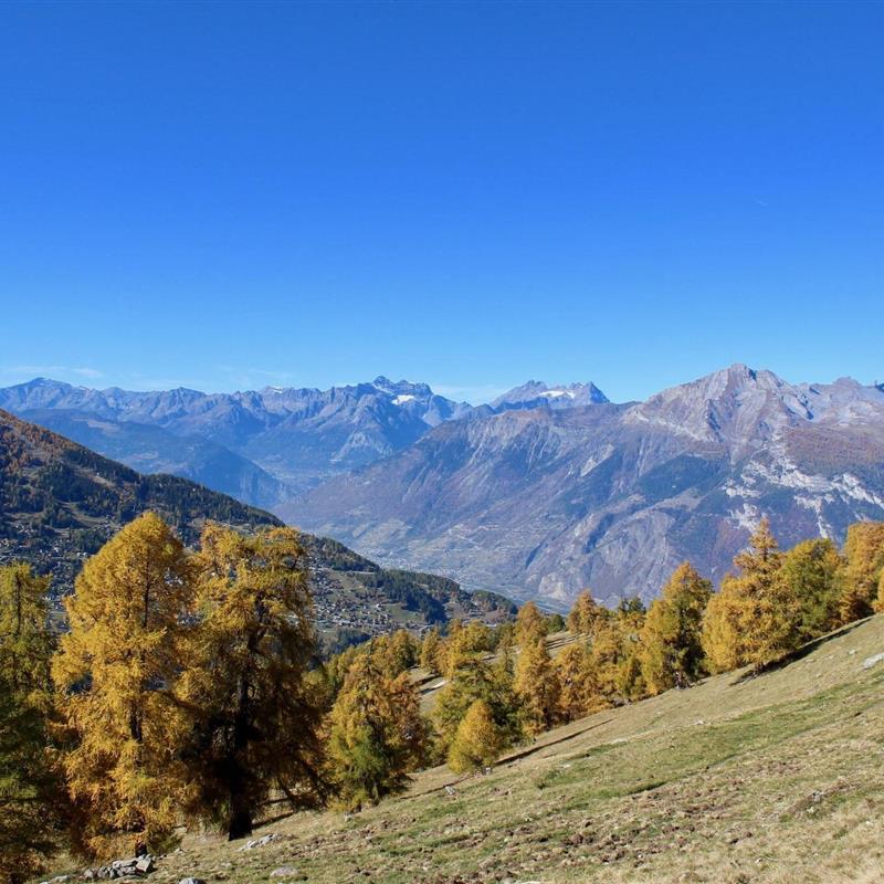 Ferielejlighed - 14 personer -  - 1997 - Haute-Nendaz