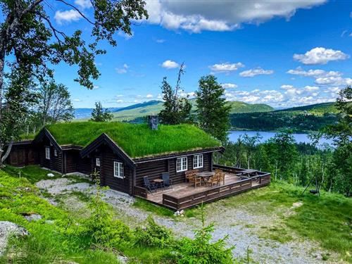Sommerhus - 10 personer -  - Harevegen - Reinsjøfjell/Haglebu/Flå - 3539 - Flå