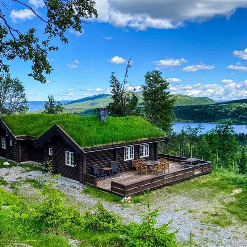 Sommerhus - 10 personer -  - Harevegen - Reinsjøfjell/Haglebu/Flå - 3539 - Flå