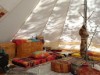 Bild 63