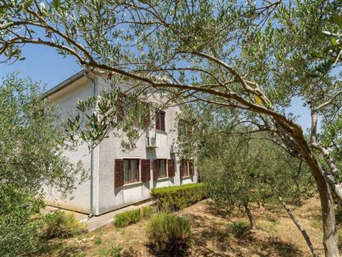 Holiday home - 6 persons -  - Podvršina - 23273 - Preko